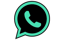 Whatsapp DMT